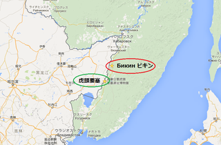 ビキン.png