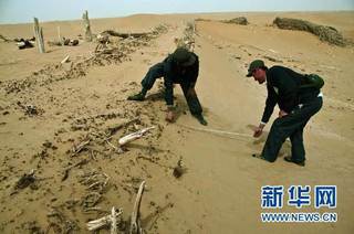 策勒で漢代の都市遺跡.jpg