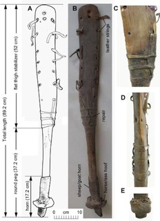 Li_Figure 3.jpg